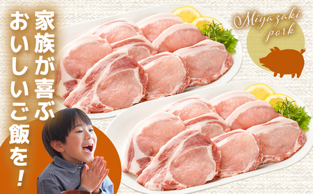 宮崎県産豚肉ロースカツ用30枚_18-M601_(都城市) 宮崎県産豚肉 ロースカツ用 100g×30枚 とんかつ トンテキ ポークステーキ