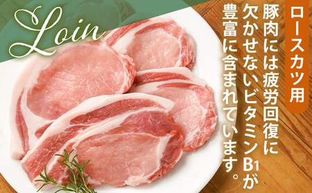 宮崎県産豚肉ロースカツ用30枚_18-M601_(都城市) 宮崎県産豚肉 ロースカツ用 100g×30枚 とんかつ トンテキ ポークステーキ