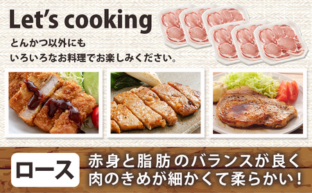 宮崎県産豚肉ロースカツ用30枚_18-M601_(都城市) 宮崎県産豚肉 ロースカツ用 100g×30枚 とんかつ トンテキ ポークステーキ