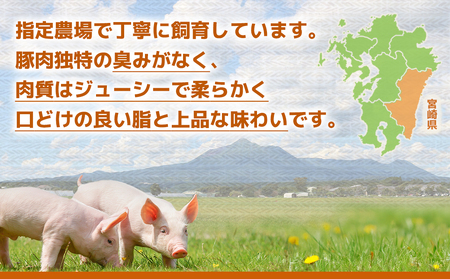 宮崎県産豚肉バラしゃぶしゃぶ用2.4kg_18-M603_(都城市) 宮崎県産豚肉 バラしゃぶしゃぶ用 豚バラ肉