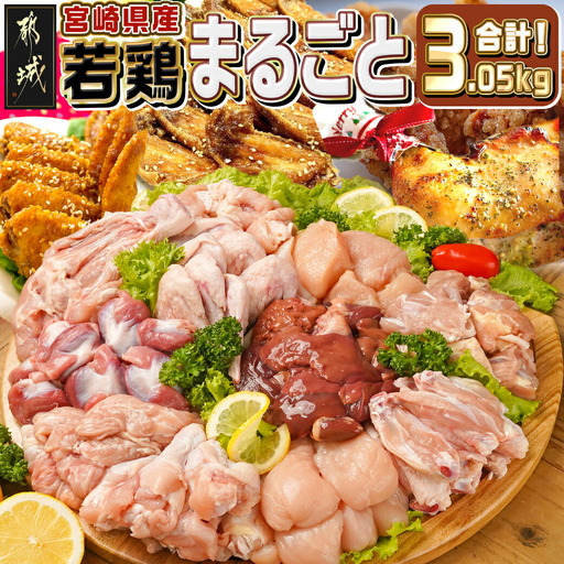 宮崎県産若鶏まるごと3.05kgセット_14-M601_(都城市) 宮崎