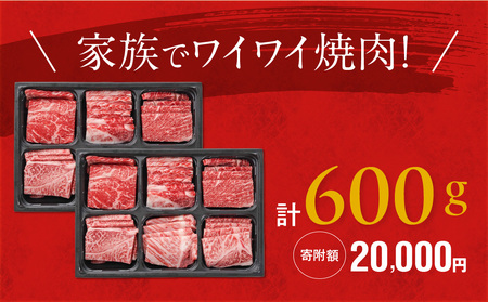 宮崎牛6種盛り焼肉食べ比べ600g_AC-N201_(都城市) 宮崎県産宮崎牛 サーロイン リブ ウデ モモ バラ 肩ロース