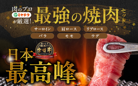 宮崎牛6種盛り焼肉食べ比べ600g_AC-N201_(都城市) 宮崎県産宮崎牛 サーロイン リブ ウデ モモ バラ 肩ロース