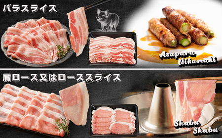 「宮崎SPF豚」肉肉バラエティ2.6kgセット_MJ-K901_(都城市) 宮崎県産豚 小間切れ ロース 肩ローススライス バラ トンカツ トンテキ ミンチ