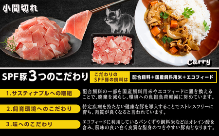 「宮崎SPF豚」肉肉バラエティ2.6kgセット_MJ-K901_(都城市) 宮崎県産豚 小間切れ ロース 肩ローススライス バラ トンカツ トンテキ ミンチ