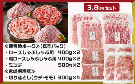 観音池ポークしゃぶ2種&ミンチ&宮崎県産豚切り落とし【総重量3.8kg】_AC-9217_(都城市) 観音池ポーク ミンチ ロース 肩ロース 国産豚肉 ウデ・モモ 切落とし