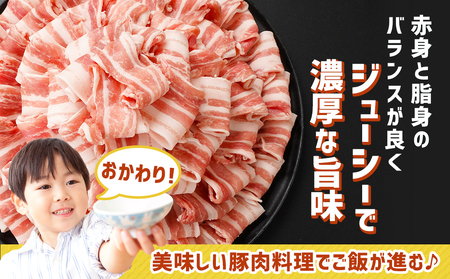 宮崎県産豚肉バラスライス1.5kg_12-8906_(都城市) 宮崎県産豚 バラスライス 500g×3パック バラ肉 小分け 冷凍配送 野菜炒め 肉巻き 煮物 お好み焼き