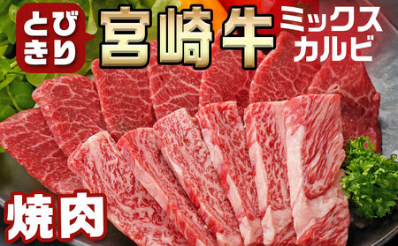 宮崎牛ミックスカルビ焼肉500g×2≪みやこんじょ快速便≫_AC-8916-R_(都城市) 宮崎県産宮崎牛 ミックスカルビ焼肉 ウデ/バラ/肩ロース/モモ いずれか２部位 冷凍配送