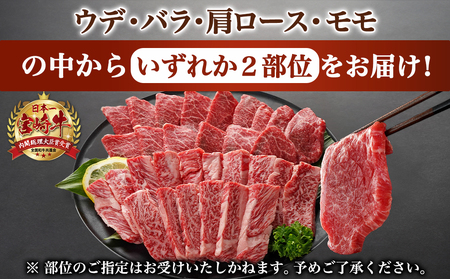 宮崎牛ミックスカルビ焼肉500g×2≪みやこんじょ快速便≫_AC-8916-R_(都城市) 宮崎県産宮崎牛 ミックスカルビ焼肉 ウデ/バラ/肩ロース/モモ いずれか２部位 冷凍配送