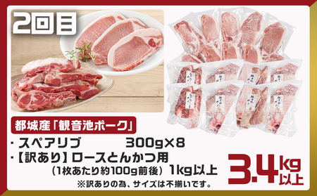 《3回連続お届け》観音池ポーク&宮崎県産豚定期便_T45-3-9201_(都城市) 都城産 観音池ポーク ロースしゃぶしゃぶ肉 肩ロースしゃぶしゃぶ肉 真空パック しゃぶしゃぶ用 ブランドポーク ミンチ スペアリブ とんかつ