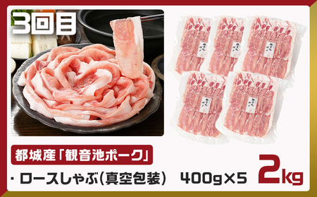 《3回連続お届け》観音池ポーク&宮崎県産豚定期便_T45-3-9201_(都城市) 都城産 観音池ポーク ロースしゃぶしゃぶ肉 肩ロースしゃぶしゃぶ肉 真空パック しゃぶしゃぶ用 ブランドポーク ミンチ スペアリブ とんかつ