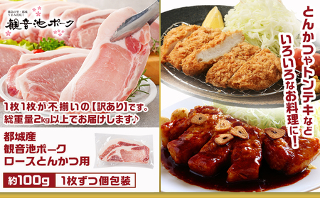 観音池ポークロースとんかつ用【訳あり】&スペアリブ4.4kg_AC-9219_(都城市) 都城産豚 観音池ポーク 訳あり ロースとんかつ用/スペアリブ