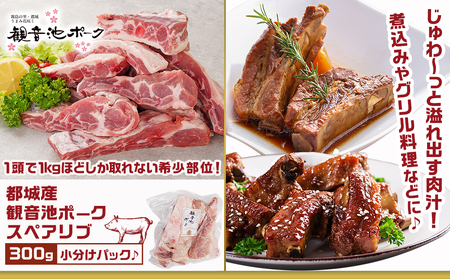 観音池ポークロースとんかつ用【訳あり】&スペアリブ4.4kg_AC-9219_(都城市) 都城産豚 観音池ポーク 訳あり ロースとんかつ用/スペアリブ