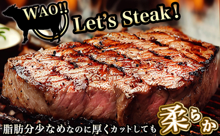 宮崎牛ヒレブロック500g_22-8905_(都城市) 宮崎県産 宮崎牛 真空パック ヒレブロック 高級部位 枝肉の3％ 希少な部位 やわらか 脂肪分が少ない お好みサイズ カット