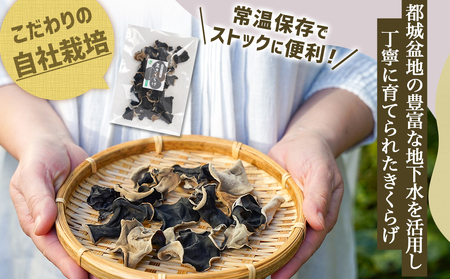 ヘルシー乾燥黒きくらげ40g※ポスト投函_LA-C905_(都城市) 都城産 乾燥黒きくらげ 自社栽培 プリコリ ビタミン ミネラル 健康維持 スープ 煮物