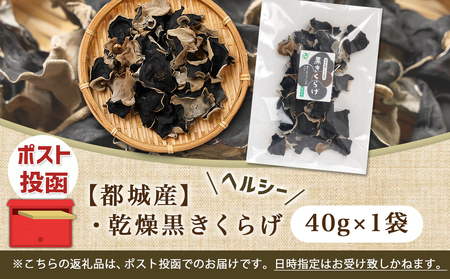 ヘルシー乾燥黒きくらげ40g※ポスト投函_LA-C905_(都城市) 都城産 乾燥黒きくらげ 自社栽培 プリコリ ビタミン ミネラル 健康維持 スープ 煮物