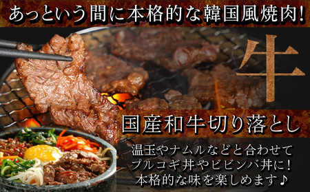 肉の野上の牛・豚・鶏オリジナル味付け4.6kg_AD-2604_(都城市)  味付き 甘辛タレ 外国産鶏肉/豚肉 国産牛肉 セット 真空パック