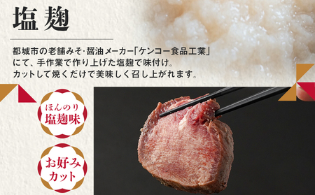≪特上≫牛タン塩麹漬け炙り焼き1本_16-3303_(都城市) 牛タン タン中  お好みの厚みでカット BBQ ブロック 