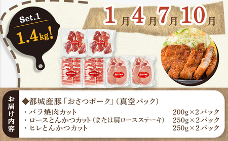 ≪12回連続お届け≫「おさつポーク」バラエティ定期便_T132-12-1401_(都城市) 豚肉 都城産豚 おさつポーク 真空 冷凍 12回連続 定期便