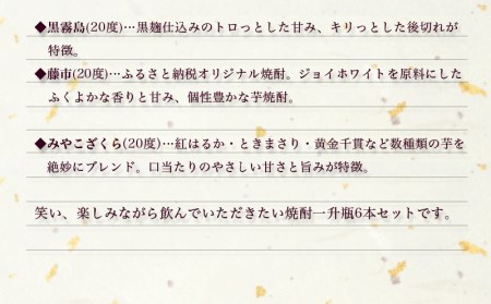 笑酎楽園6本セット≪みやこんじょ特急便≫_AE-1803_(都城市) 黒霧島 20