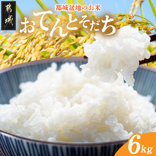 都城盆地のお米「おてんとそだち」6kg(3kg×2袋)_MJ-15-006-6kg_(都城市) 都城産 お米 6kg
