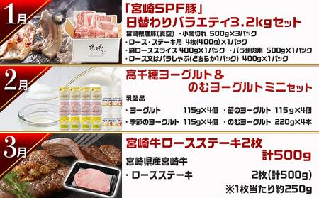 【セレクト定期便】第2弾☆都城市ご当地グルメ定期便(12ヶ月)≪2026年お届け≫_T175-MY01