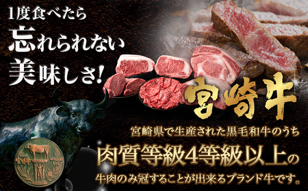 宮崎牛ローススライス(300g×2P)_AC-N404_(都城市) 