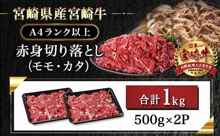 宮崎牛赤身切り落とし(500g×2P)_AC-N403