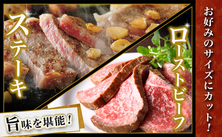 宮崎牛リブロースブロック(1kg)_AD-N405_(都城市) 宮崎県産 宮崎牛 牛肉 和牛 国産 リブ 塊肉 ステーキ ローストビーフ 焼肉 BBQ 1kg 贈答用 ギフト 