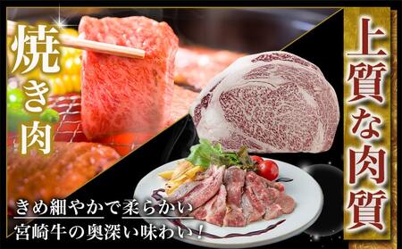 宮崎牛リブロースブロック(1kg)_AD-N405_(都城市) 宮崎県産 宮崎牛 牛肉 和牛 国産 リブ 塊肉 ステーキ ローストビーフ 焼肉 BBQ 1kg 贈答用 ギフト 