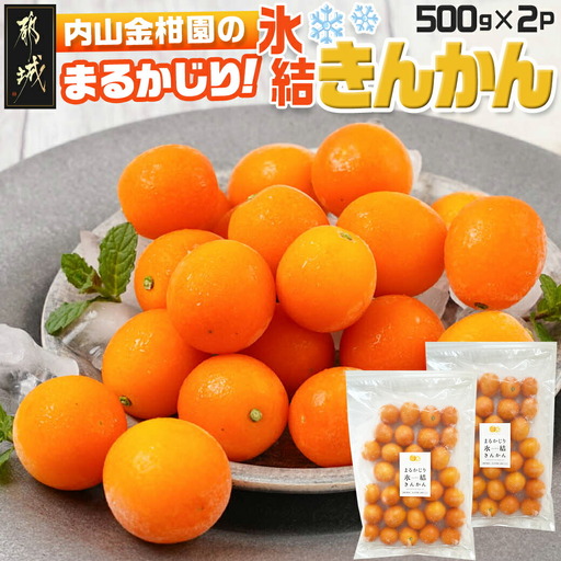 【徳用】内山金柑園のまるかじり氷結きんかん1kg(500g×2P)_12-J702_(都城市) 果物 急速冷凍 完熟きんかん 糖度16％以上 スイーツ おやつ 冷凍きんかん