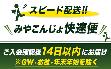 宮崎牛サーロインステーキ(200g×3枚)≪みやこんじょ快速便≫_26-N401-R_(都城市) 宮崎県産宮崎牛 サーロインステーキ 200g 3枚 牛肉 ステーキ サーロイン