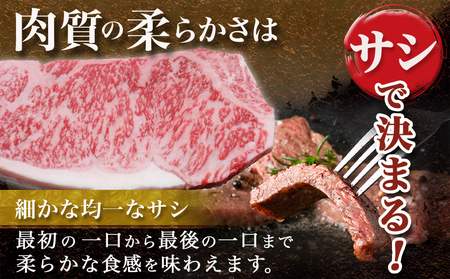 宮崎牛サーロインステーキ(200g×4枚)≪みやこんじょ快速便≫_34-N401-R_(都城市) 宮崎県産宮崎牛 サーロインステーキ 200g 4枚 牛肉 ステーキ サーロイン