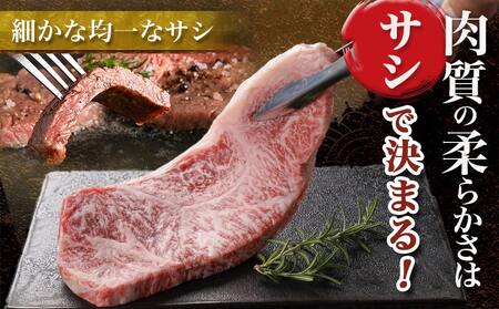 宮崎牛サーロインステーキ(200g×5枚)≪みやこんじょ快速便≫_38-N402-R_(都城市) 宮崎県産宮崎牛 サーロインステーキ 200g 5枚 牛肉 ステーキ サーロイン