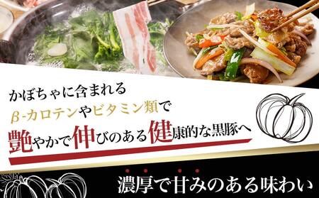 「黒豚とんぷきん」てげてげセット2.2kg_MJ-5906