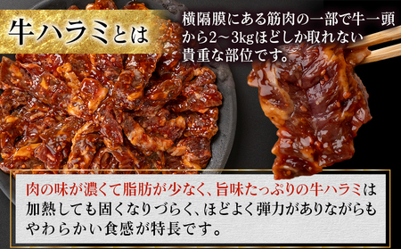 牛ハラミ タレ漬け焼肉用1.5kg_14-3603_(都城市)  醤油ベース 牛肉