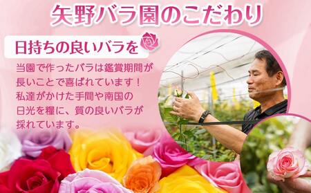 【母の日】バラのアレンジメント35本(ミックス)≪5月8日～11日お届け≫_22-3301-MG_(都城市) フラワーアレンジメント バラ20本と季節の花 カスミソウ ブルーファンタジア スイートピー等 矢野バラ園 贈り物 プレゼント