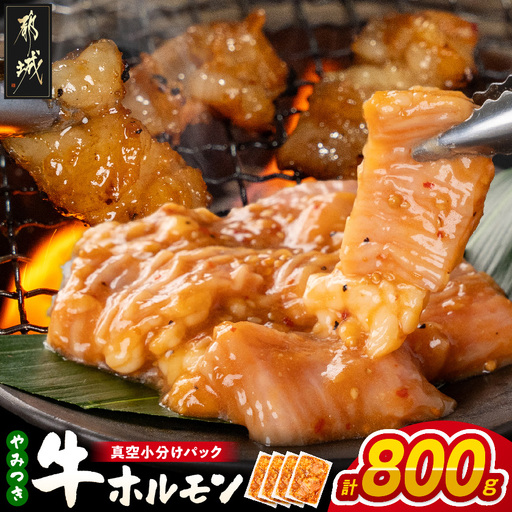 やみつき牛ホルモン800g!(真空小分け)_LG8-3307_(都城市) 牛ホルモン 味付き 200g×4P 800g 小分け 真空パック