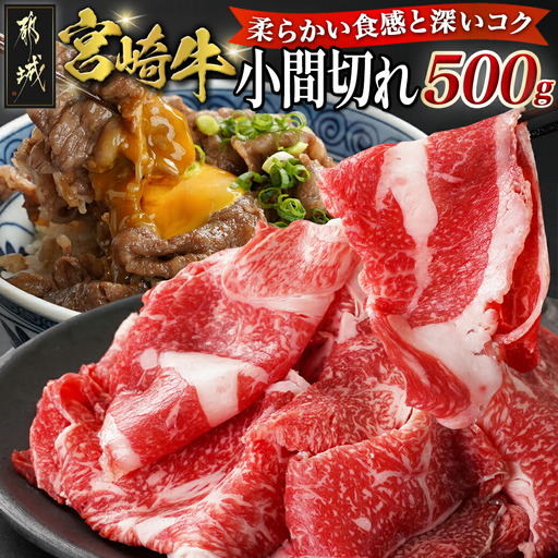 宮崎牛小間切れ500g_14-N301_(都城市) 都城産宮崎牛 小間切れ 肩ロース/モモ/ウデ 500g×1パック 冷凍便