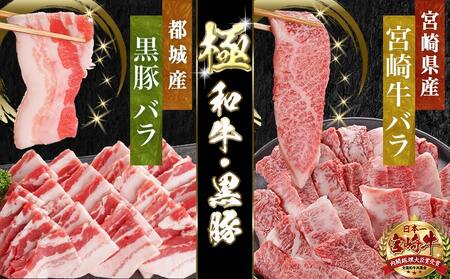 宮崎牛&黒豚バラ焼肉セット(合計1kg)_18-N402_(都城市) 宮崎県産宮崎牛 都城産黒豚  バラ焼肉用 各500g×1P セット 焼肉用カット 焼肉 BBQ 冷凍
