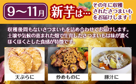 【新芋】芋名人が認めるさつまいも『洗い済み 紅はるか』8.2kg MS~2Lミックス ※9月~11月頃順次発送_LG-L701-N_(都城市) 宮崎県都城産 紅はるか MS~2Lミックス 約8.2kg