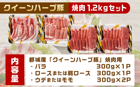 「クイーンハーブ豚」焼肉1.2kgセット_11-2903_(都城市) ブランドポーク バラ ロースまたは肩ロース ウデ・モモ 焼き肉用カット BBQ バーベキュー