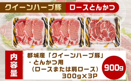 「クイーンハーブ豚」ロースとんかつ900gセット_AA-2909_(都城市) ロースまたは肩ロースとんかつ 300g×3P 豚肉 とんかつカット