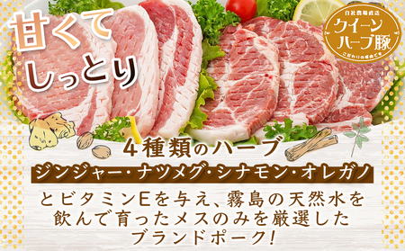 「クイーンハーブ豚」ロースとんかつ900gセット_AA-2909_(都城市) ロースまたは肩ロースとんかつ 300g×3P 豚肉 とんかつカット