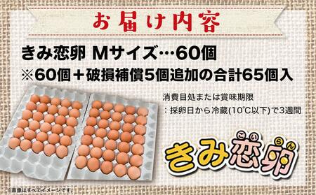 新鮮赤卵「きみ恋卵」60個_AA-2911_(都城市) 赤玉子 Mサイズ 60個 きみ