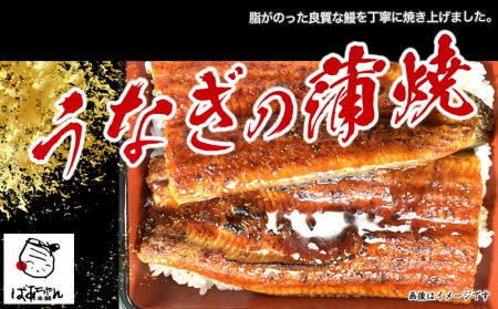 南九州産うなぎの蒲焼3尾 Ac 1506 宮崎県都城市 ふるさと納税サイト ふるなび