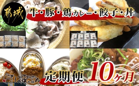 TAA10-1502_牛・豚・鶏お手軽カレー・丼定期便(10ヶ月)
