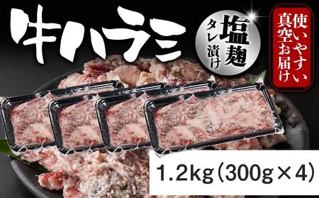 牛ハラミ 塩麹タレ漬け1.2kg≪みやこんじょ特急便≫_12-3310-Q_(都城市)  味付き 牛肉 真空 小分け