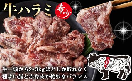 牛ハラミ 塩麹タレ漬け1.5kg_14-3305_(都城市)  味付き 牛肉 真空 小分け