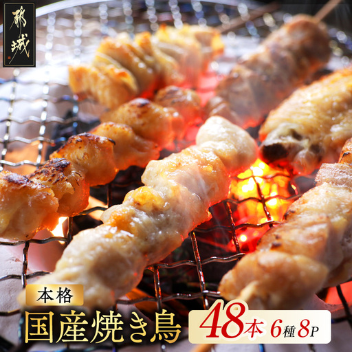 職人串打ちの本格焼き鳥48本!!_12-3307_(都城市) 焼鳥串 生冷凍串 冷凍生肉 もも 皮 手羽 小肉 砂肝 ぼんじり ねぎま ハラミ せせり つくね 6本入り 8P 計1.6kg BBQ 鶏肉 国産 小分け ★レビューキャンペーン対象品★